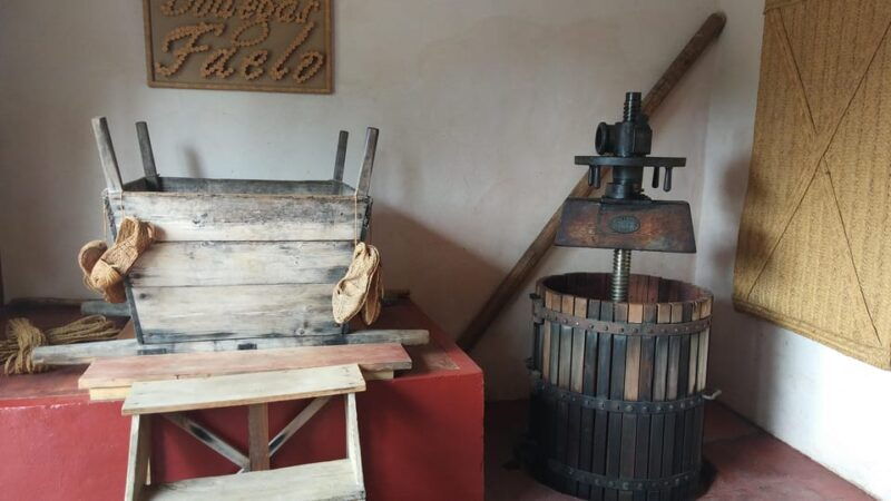 From Alicante & Elche: Family Owned Rural Winery (Tasting) - Booking and Transportation