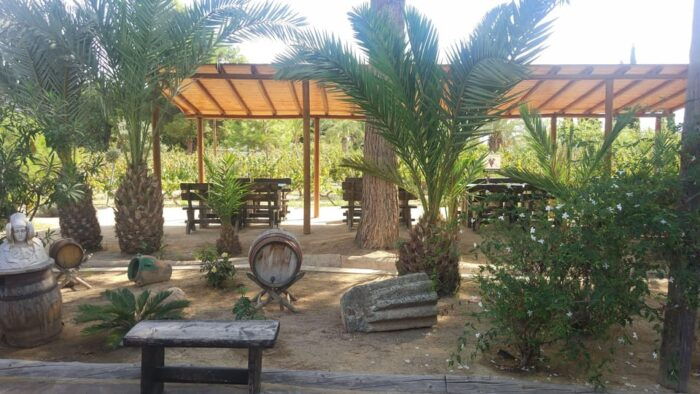 From Alicante & Elche: Family Owned Rural Winery (Tasting) - Special Offers and Discounts