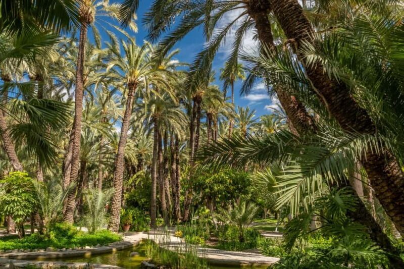From Alicante: Elche Half-Day of Palms, History & Heritage - Exploring the Elche Experience in Detail