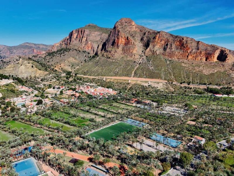 From Alicante: Elche Half-Day of Palms, History & Heritage - FAQ