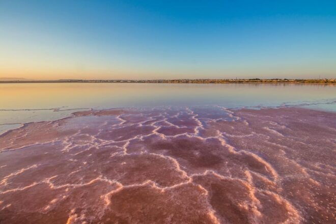 From Alicante: Excursion to Tabarca Island & Salinas - Important Information for Travelers