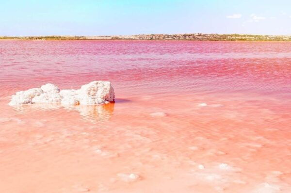 From Alicante: Excursion to Tabarca Island & Salinas - Reviews From Previous Participants