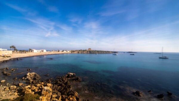 From Alicante: Excursion to Tabarca Island & Salinas - Frequently Asked Questions