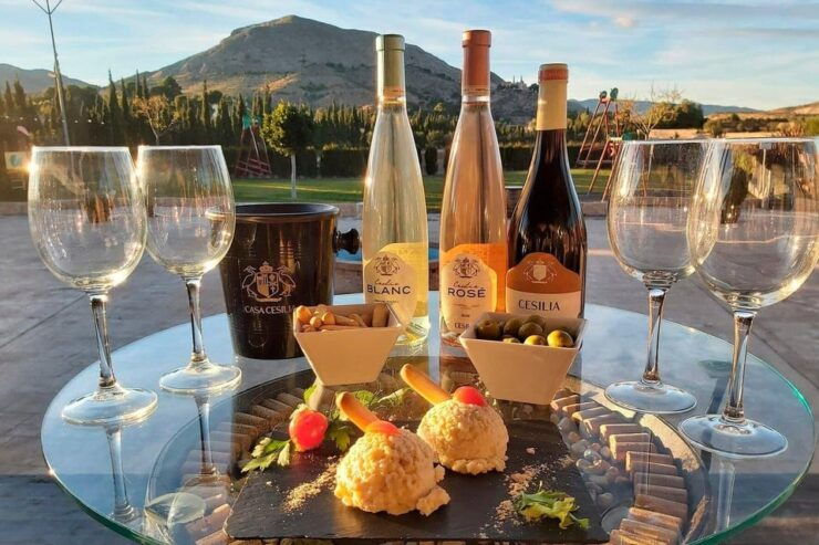 From Alicante: Guided Visit to an Old Winery. Tasting Included. - Historical and Educational Aspects