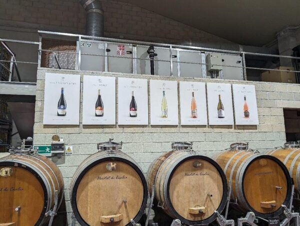 From Alicante: Guided Visit to an Old Winery. Tasting Included. - Wine Tasting Experience