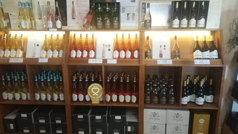 From Alicante: Premium Visit to the Winery. the Best of Our Wines. - Guided Tour Details
