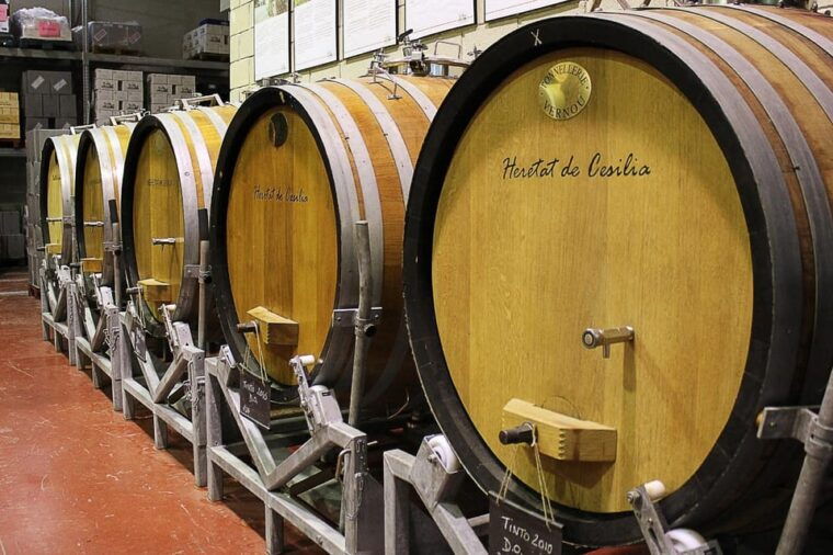From Alicante: Premium Visit to the Winery. the Best of Our Wines. - Sustainable Farming Practices