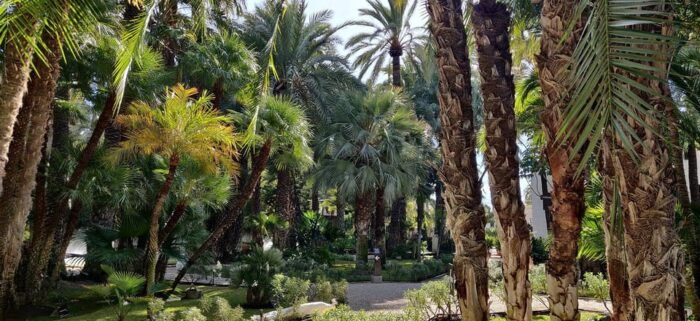 From Alicante: Tour to the National Botanical Garden - Special Offers