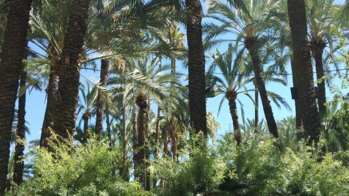 From Alicante: Tour to the National Botanical Garden - Contact Information