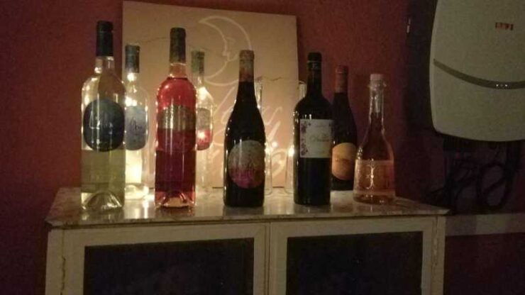 From Alicante: Winery Tour and Wine Tasting in Elche - Highlighted Experiences