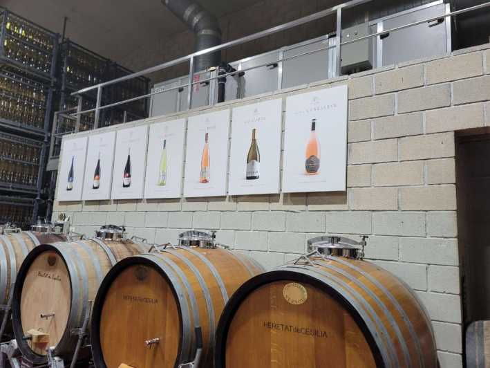 From Alicante: Winery Tour and Wine Tasting With Tapas - Good To Know