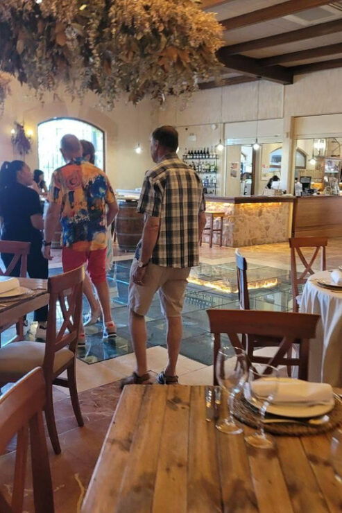 From Alicante: Winery Tour and Wine Tasting With Tapas - Inclusions and Exclusions