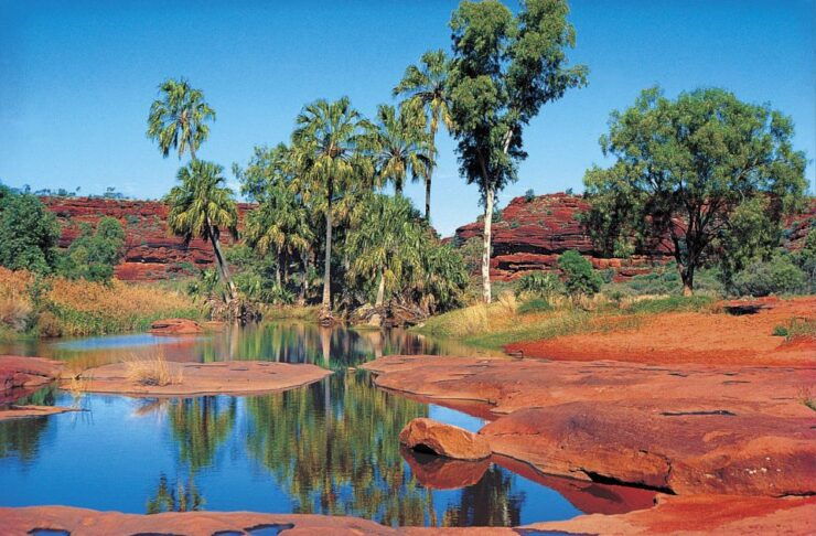 From Alice Springs: Palm Valley 4WD Outback Safari Picnic - Safari Details