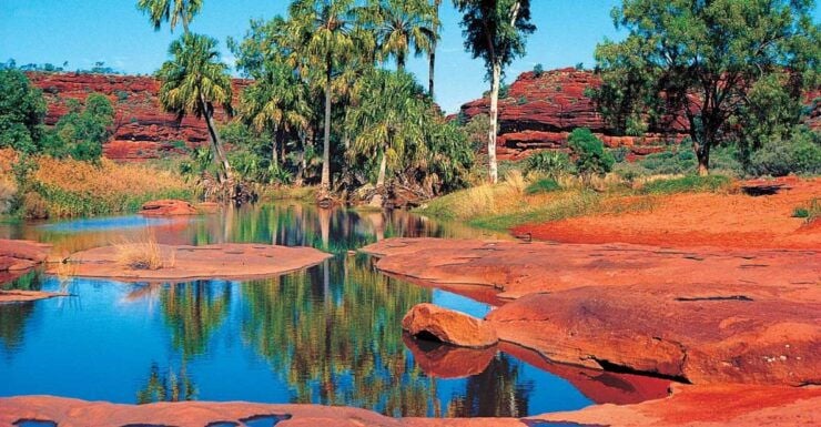 From Alice Springs: Palm Valley 4WD Outback Safari Picnic - Experience Highlights