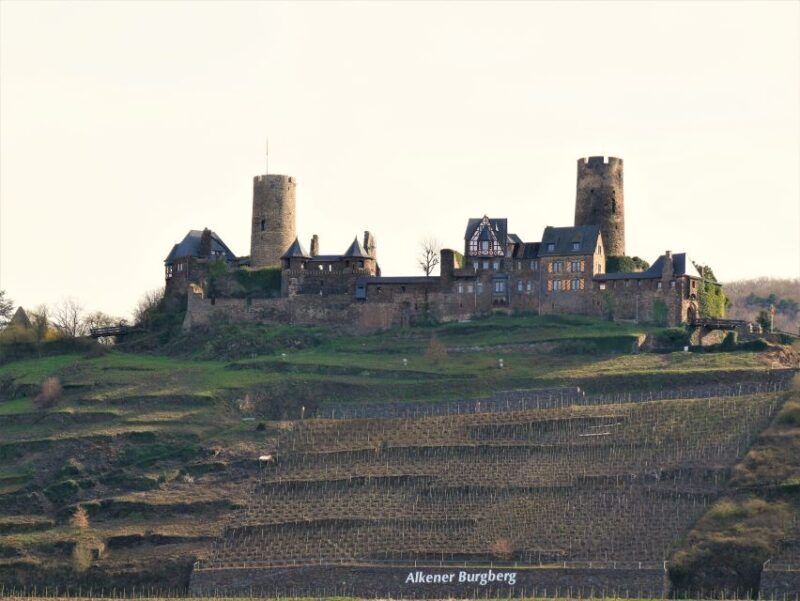 From Alken: Moselle Valley Sightseeing Cruise - An In-Depth Look at the Moselle Valley Cruise