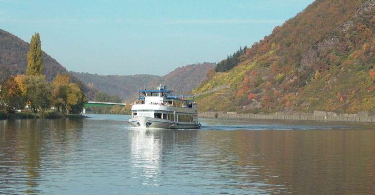 From Alken: Moselle Valley Sightseeing Cruise - Experience Highlights