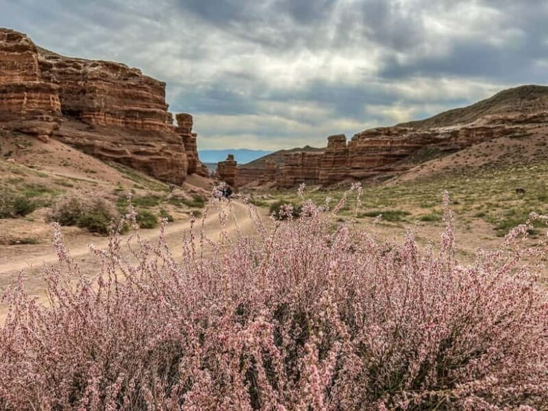From Almaty: Charyn Canyon Full-Day Trip with Boxed Lunch - Good To Know