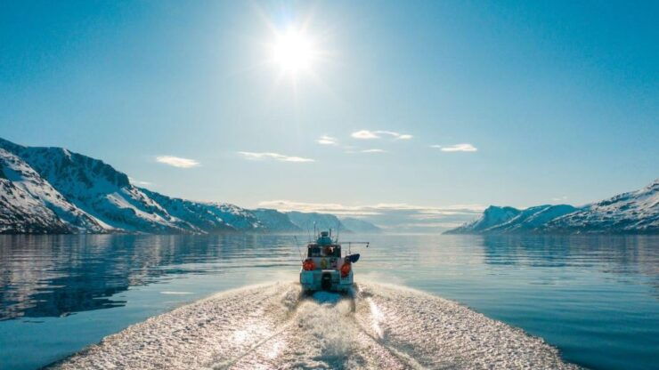 From Alta: Adventure Cruise in Alta Fjord - Booking Information