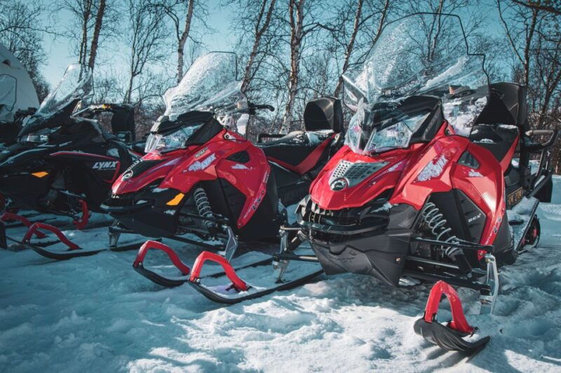 From Alta: Daytime Snowmobile Adventure - Good To Know