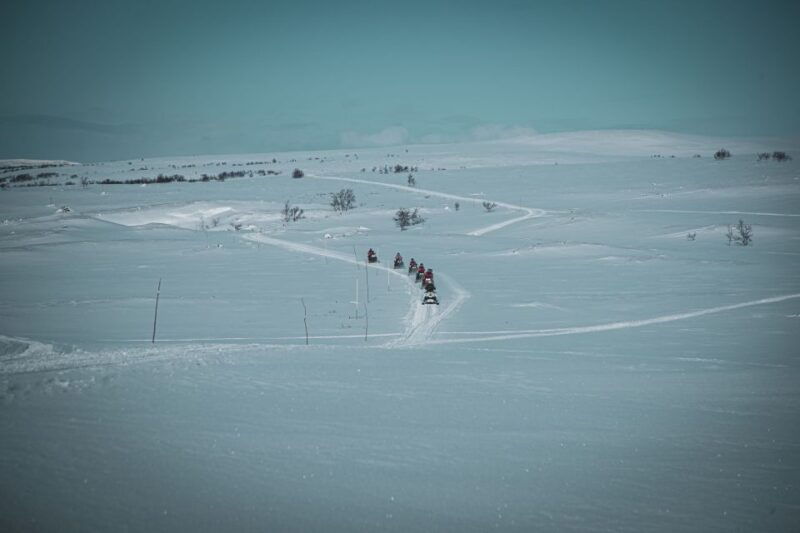 From Alta: Daytime Snowmobile Adventure - What Makes This Tour Stand Out