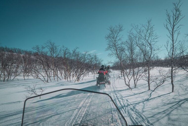 From Alta: Daytime Snowmobile Adventure - Who Should Book This Tour?