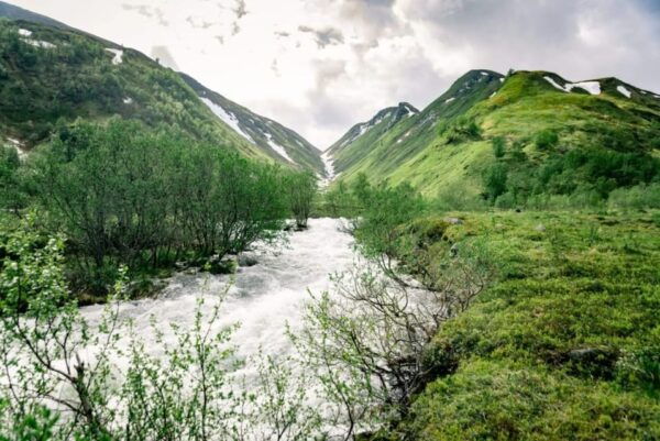 From Alta: Experience Seiland National Park - Scenic Highlights