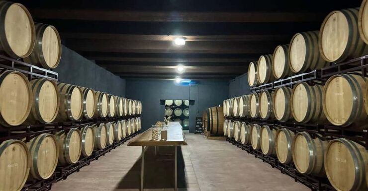 From Altea,Benidorm,Alicante: Winery Tour and Wine Tasting - Experience Highlights