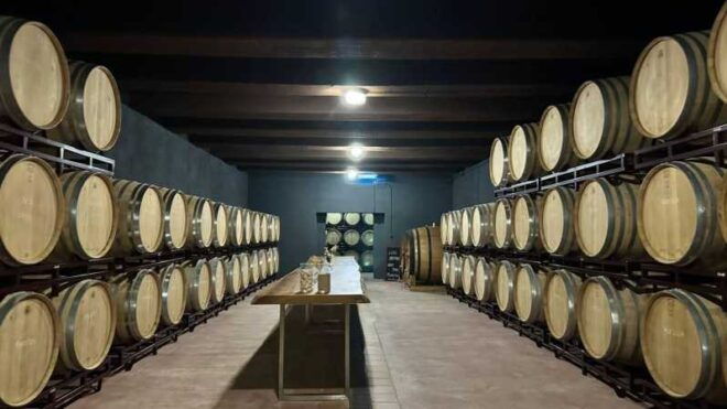 From Altea,Benidorm,Alicante: Winery Tour and Wine Tasting - Transportation and Logistics