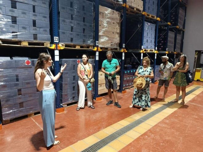 From Altea,Benidorm,Alicante: Winery Tour and Wine Tasting - Wine-making Process