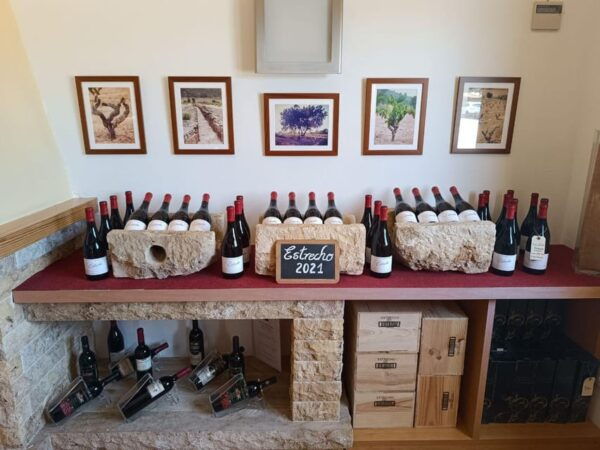 From Altea,Benidorm,Alicante: Winery Tour and Wine Tasting - Wine Tasting Experience