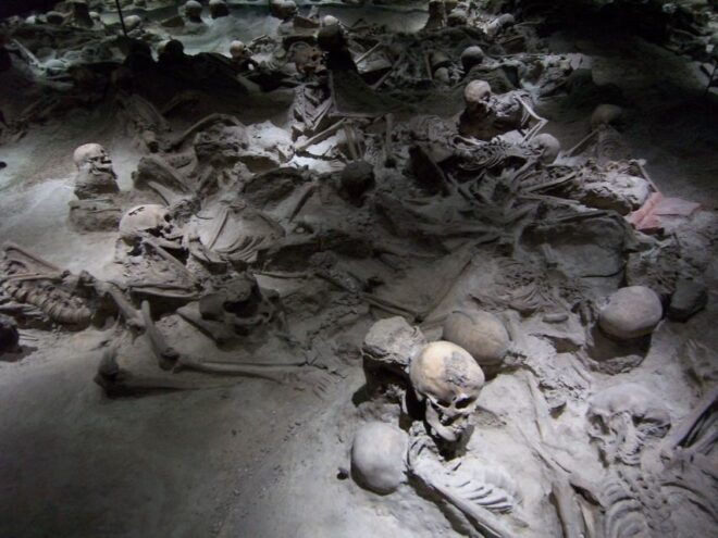 From Amalfi Coast: Pompeii Herculaneum Skip-The-Line - Itinerary
