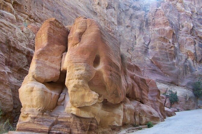 From Amman to Petra( Private Two Days Tour) - Accessibility Information