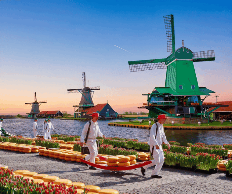 From Amsterdam; Alkmaar Cheese market & Zaanse Schans - What Reviewers Say