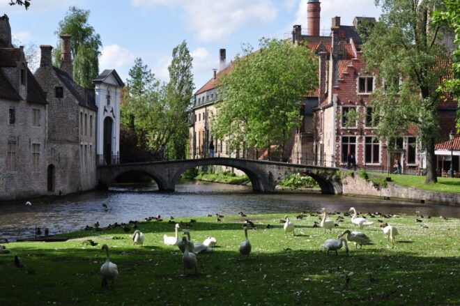 From Amsterdam: Bruges Guided Day Trip - Customer Reviews