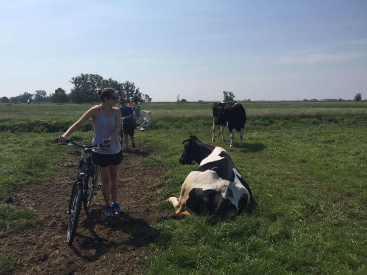 From Amsterdam: Countryside Bike Tour - Experience