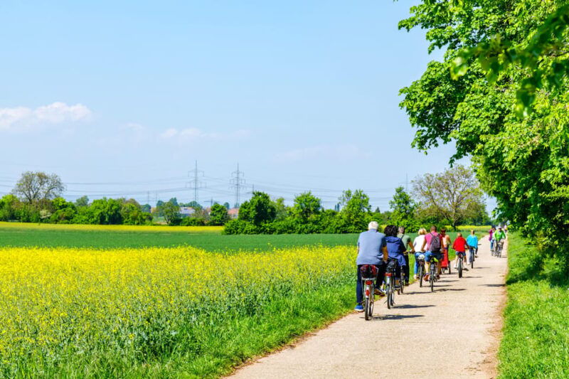 From Amsterdam: Countryside Bike Tour with Cheese Tasting - Good To Know