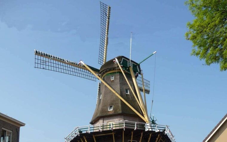 From Amsterdam: Countryside Bike Tour with Cheese Tasting - Final Thoughts