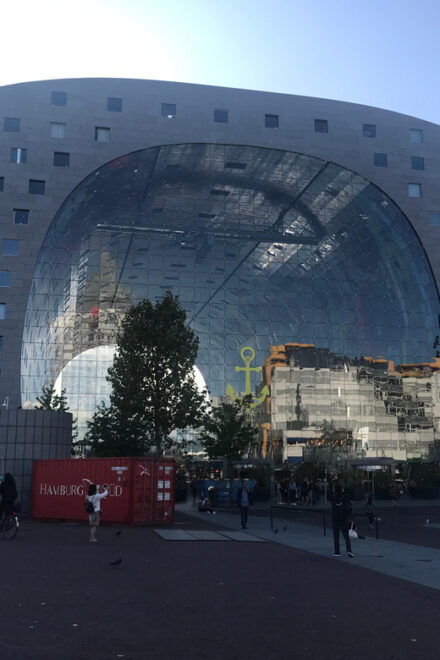 From Amsterdam: Day Tour to Rotterdam, Delft and The Hague - Cancellation and Accessibility