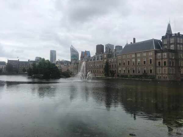 From Amsterdam: Day Tour to Rotterdam, Delft and The Hague - Customer Reviews and Ratings