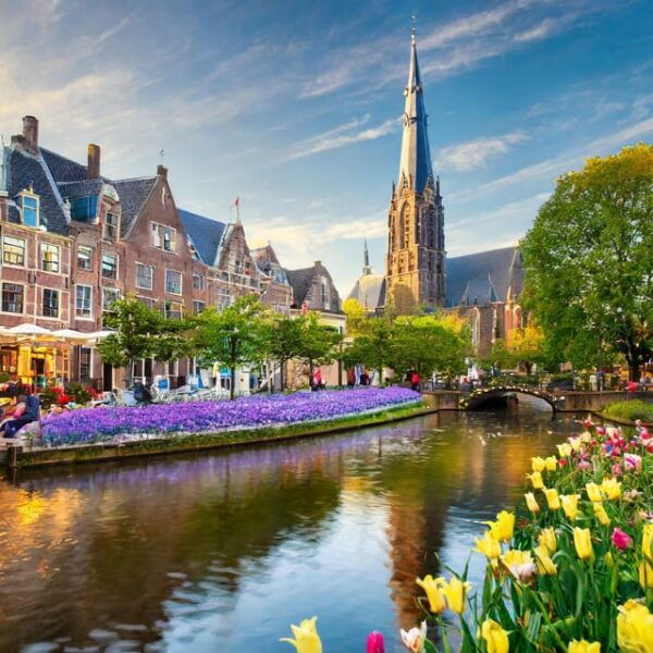 From Amsterdam: Delft and The Hague Private Day Tour - Customizable Itinerary for Private Group