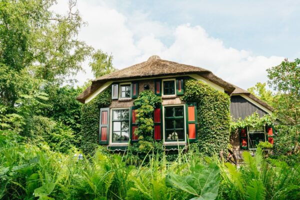 From Amsterdam: Giethoorn & Zaanse Schans Tour W/ Small Boat - Free Cancellation and Flexible Payment
