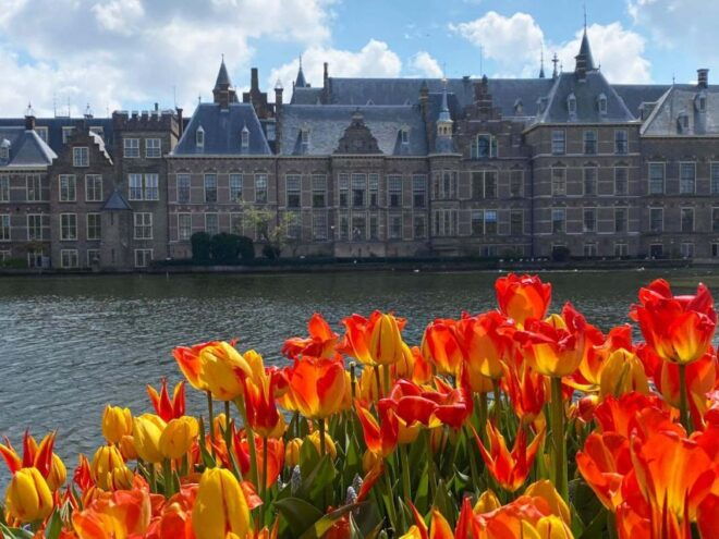 From Amsterdam: Guided Trip to Rotterdam, Delft & The Hague - Sightseeing in The Hague