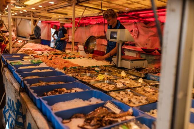 From Amsterdam: Haarlem Private Day-Trip - Logistics and Communication