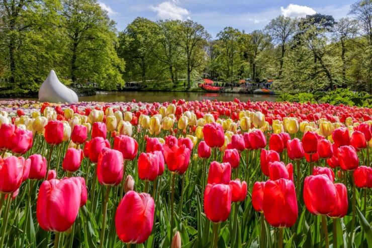From Amsterdam: Keukenhof and Dutch Countryside Tour - Tour Details