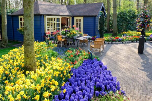 From Amsterdam: Keukenhof Flower Park Transfer With Ticket - Child Tickets