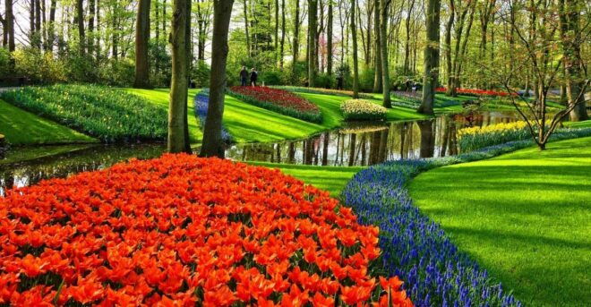 From Amsterdam: Keukenhof Gardens and Giethoorn Tour - Common Questions