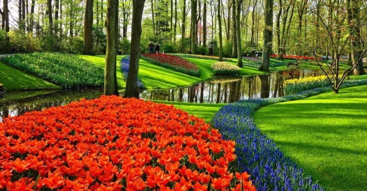 From Amsterdam: Keukenhof Gardens, The Hague and Delft Tour - Itinerary Highlights