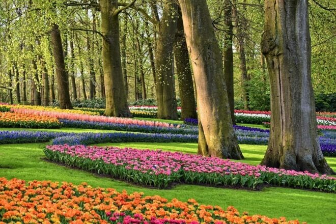 From Amsterdam: Keukenhof Gardens, The Hague and Delft Tour - Inclusions
