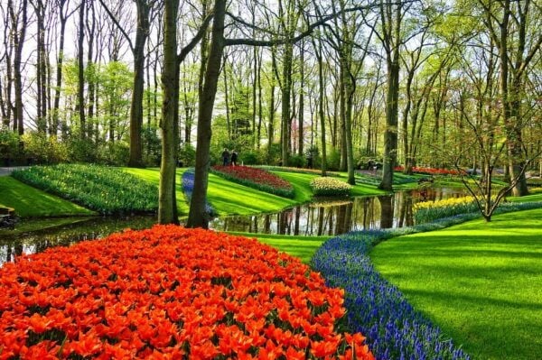 From Amsterdam: Keukenhof Gardens, The Hague and Delft Tour - Duration and Cancellation Policy