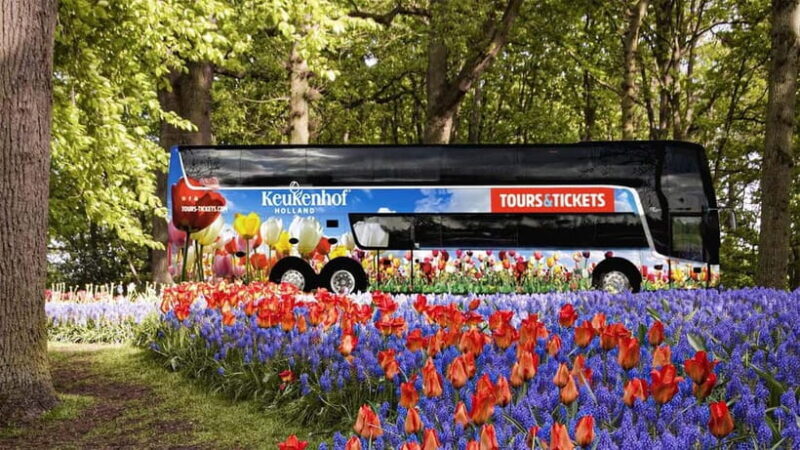 From Amsterdam: Keukenhof Shuttlebus and Entry Ticket - Good To Know